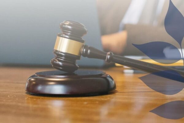 Leilões de Casas Penhoradas: Comprar Casa por Menos