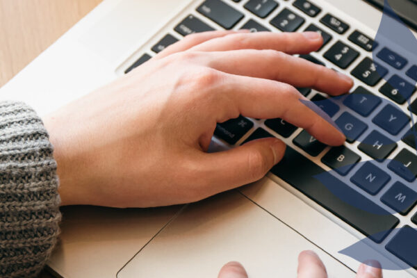 Registo Predial Online: Como Pedir e Preencher